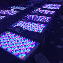300 Watt RGB RGBW DMX512 LED-Flutlicht